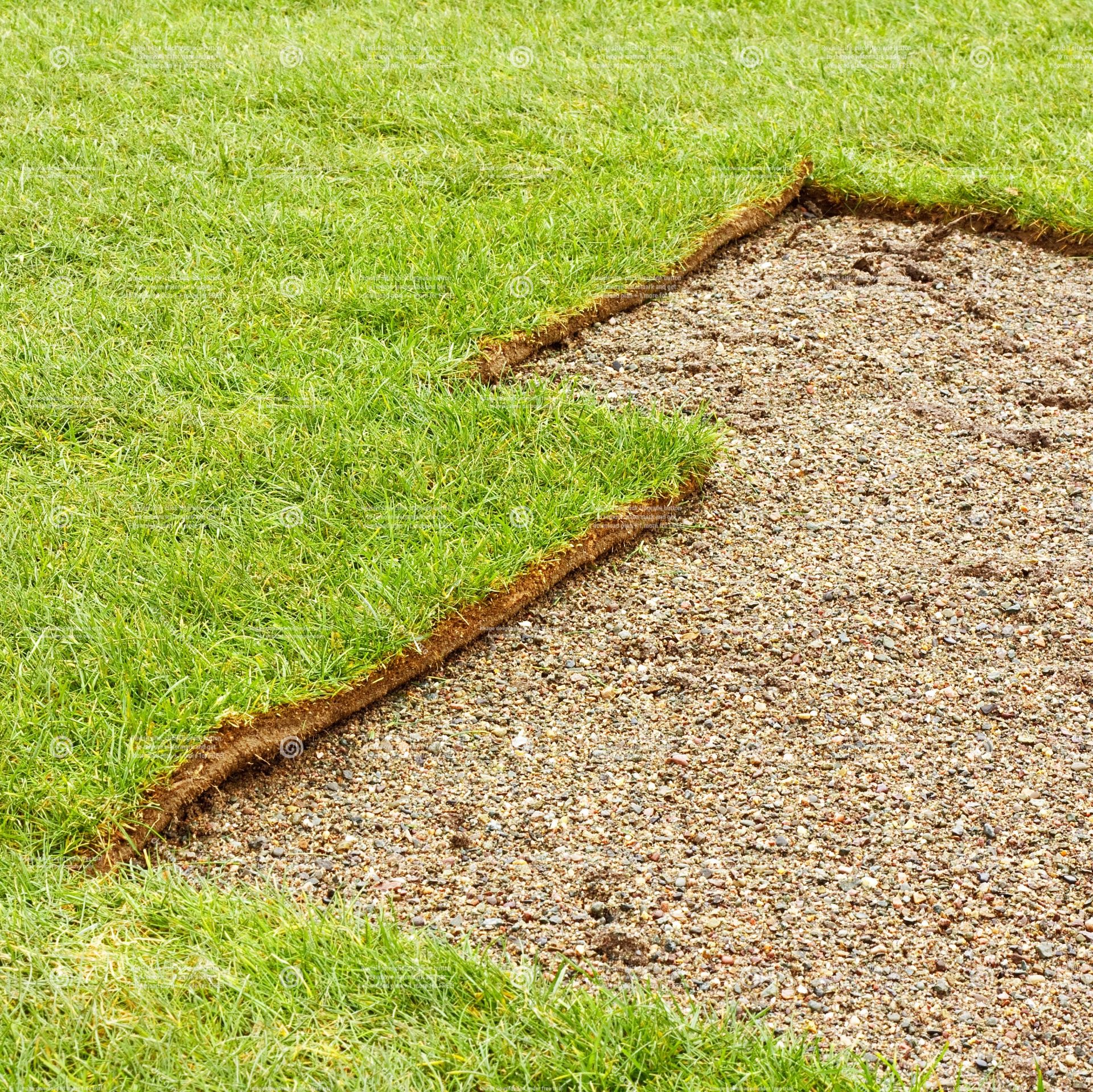 Landscaping Products Turf For Sale Regal Turf Eurogreen